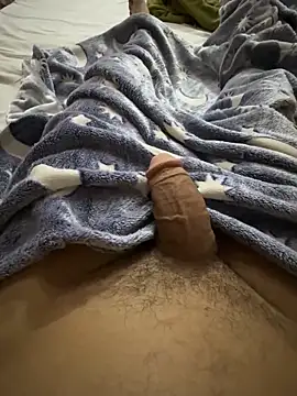 Snapshot of hamed-697 chatting on 1, 2, 2026 hamed-697 online show from 1, 2, 2026