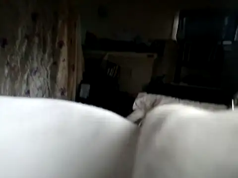 Snapshot of DevinToore chatting on 16, 11, 2025 DevinToore online show from 16, 11, 2025