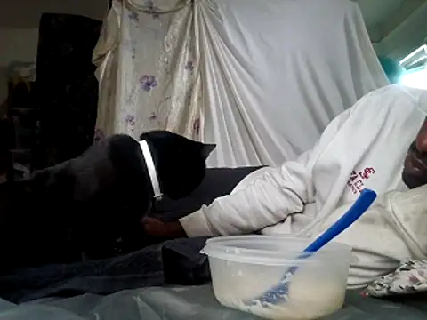 Snapshot of DevinToore chatting on 15, 12, 2025 DevinToore online show from 15, 12, 2025