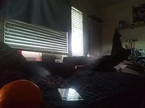 Snapshot of DevinToore chatting on 24, 2, 2026 DevinToore online show from 24, 2, 2026