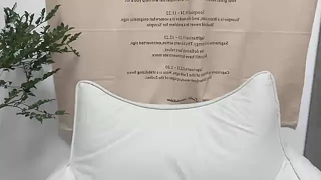 Snapshot of Arrebo1 chatting on 4, 12, 2024 Arrebo1 online show from 4, 12, 2024