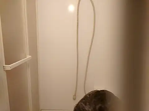 53kkkkkk online show from 26, 3, 2026