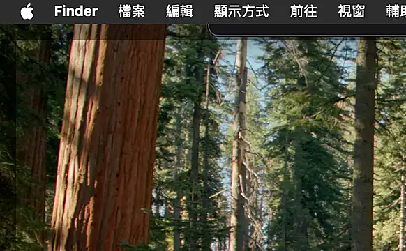 ex199212 online show from 8, 3, 2025