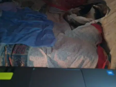 Snapshot of VeneRed chatting on 17, 1, 2026 VeneRed online show from 17, 1, 2026