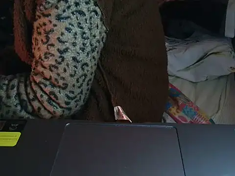 Snapshot of VeneRed chatting on 12, 2, 2026 VeneRed online show from 12, 2, 2026