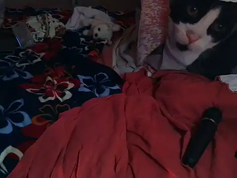 Snapshot of VeneRed chatting on 8, 3, 2026 VeneRed online show from 8, 3, 2026