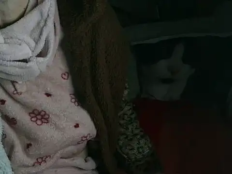 Snapshot of VeneRed chatting on 16, 3, 2026 VeneRed online show from 16, 3, 2026