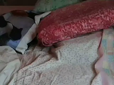 Snapshot of VeneRed chatting on 6, 4, 2026 VeneRed online show from 6, 4, 2026