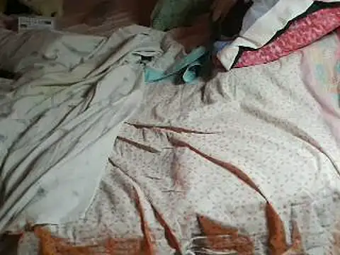 Snapshot of VeneRed chatting on 11, 4, 2026 VeneRed online show from 11, 4, 2026