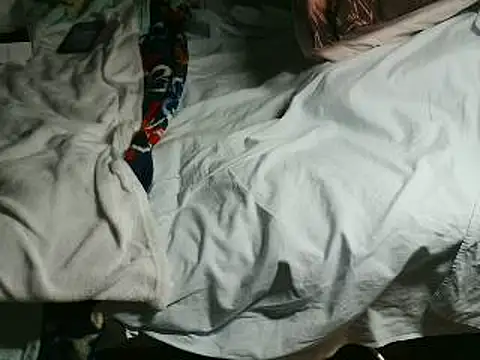 Snapshot of VeneRed chatting on 15, 4, 2026 VeneRed online show from 15, 4, 2026