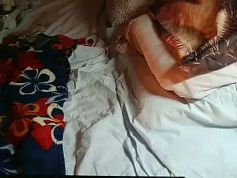 Snapshot of VeneRed chatting on 16, 4, 2026 VeneRed online show from 16, 4, 2026