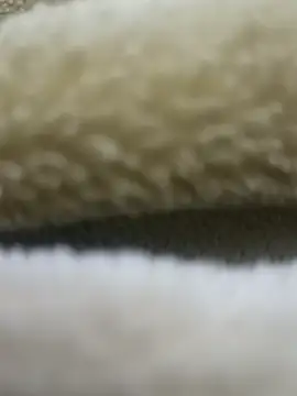 Snapshot of Anamika_Kapoor chatting on 19, 12, 2025 Anamika Kapoor online show from 19, 12, 2025