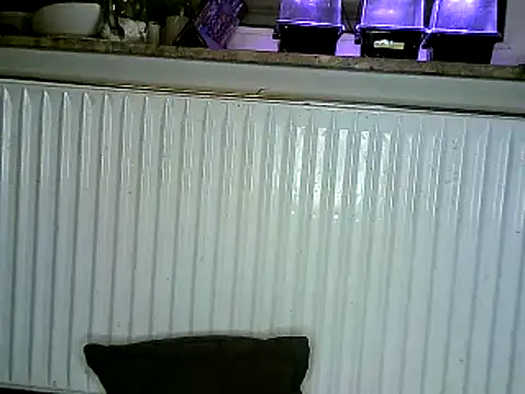 Snapshot of yola181 chatting on 13, 2, 2025 yola181 online show from 13, 2, 2025