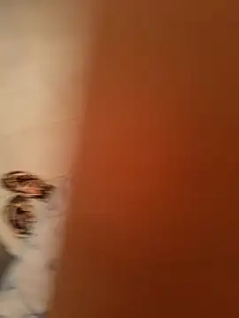 Snapshot of Aya_germany chatting on 11, 2, 2025 Aya germany online show from 11, 2, 2025