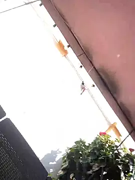 Snapshot of Praga_Pink chatting on 11, 12, 2024 Praga Pink online show from 11, 12, 2024