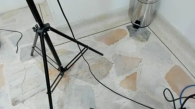 catalina Ada online show from 11, 3, 2025