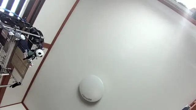 Snapshot of tuki_fu chatting on 8, 12, 2024 tuki fu online show from 8, 12, 2024