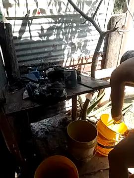 tayson  online show from 15, 1, 2025