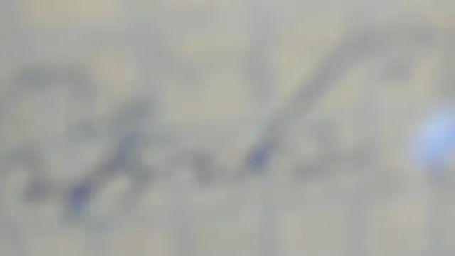 elis gabbi online show from 9, 9, 2025