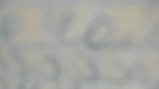 elis gabbi online show from 12, 9, 2025