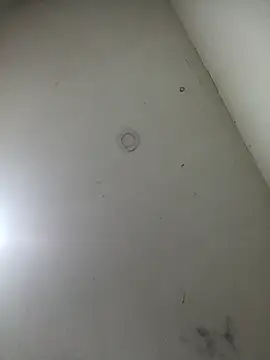 Snapshot of jeremiabello chatting on 17, 3, 2025 jeremiabello online show from 17, 3, 2025