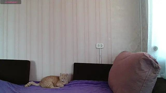 Snapshot of KellyCrystall chatting on 12, 3, 2025 KellyCrystall online show from 12, 3, 2025