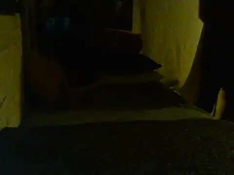 Gman143187 online show from 2, 2, 2025