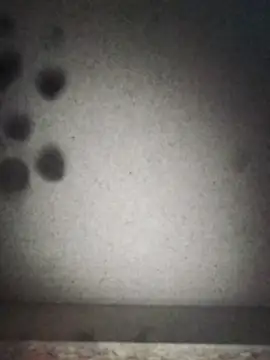 Snapshot of Leocesar37 chatting on 12, 9, 2025 Leocesar37 online show from 12, 9, 2025