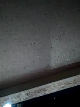 Snapshot of Leocesar37 chatting on 15, 11, 2025 Leocesar37 online show from 15, 11, 2025