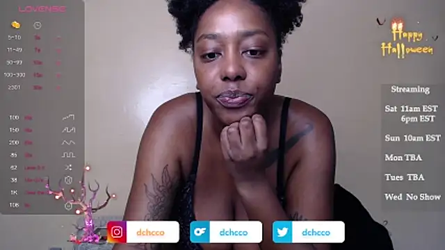 dchcco online show from 1, 11, 2025