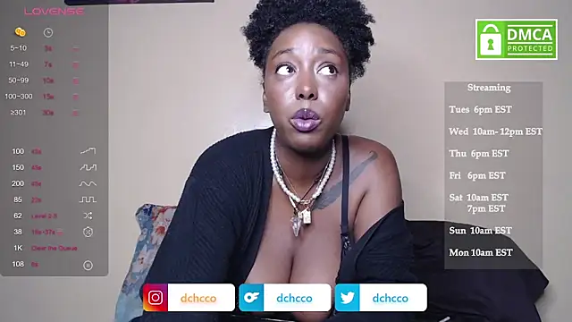 dchcco online show from 4, 11, 2025