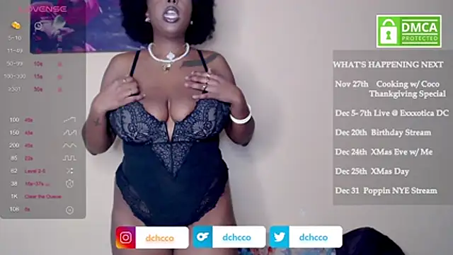 dchcco online show from 11, 11, 2025