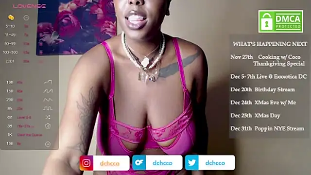 dchcco online show from 18, 11, 2025