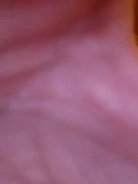 Snapshot of Freddyking146f chatting on 30, 11, 2025 Freddyking146f online show from 30, 11, 2025