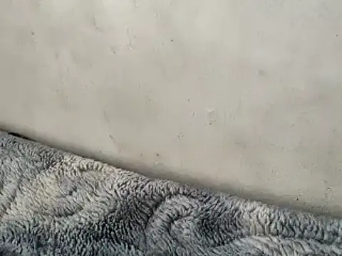 Snapshot of Bangaloreboy021 chatting on 23, 2, 2025 Bangaloreboy021 online show from 23, 2, 2025