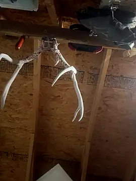 dcockell online show from 23, 10, 2025