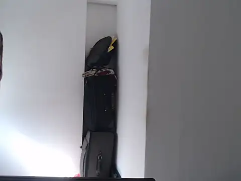 Mastertopdome online show from 11, 2, 2026