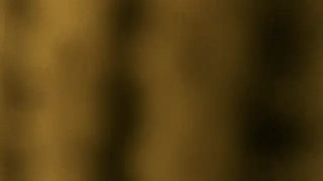 Lina lolo online show from 25, 3, 2026