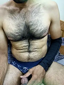 hard   cock online show from 24, 6, 2026