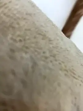 mjnas online show from 4, 12, 2024