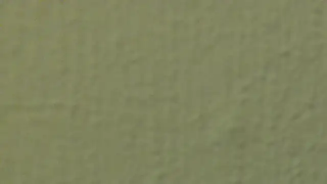 Snapshot of xLyibitsa chatting on 28, 1, 2025 xLyibitsa online show from 28, 1, 2025