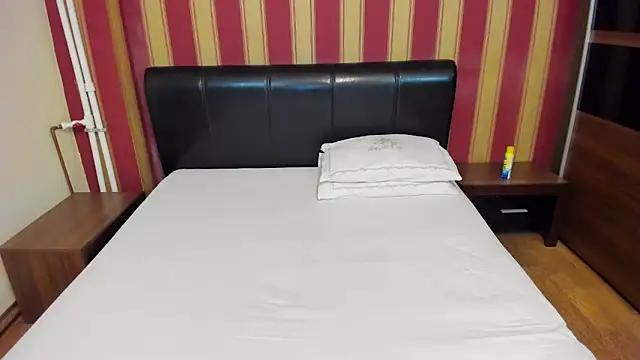 Snapshot of AshPage chatting on 3, 12, 2024 AshPage online show from 3, 12, 2024