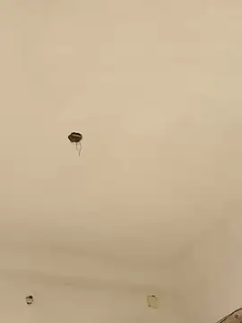 Lexi Baby  online show from 13, 12, 2024