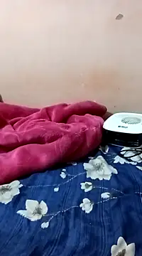 Snapshot of maftel chatting on 27, 12, 2024 maftel online show from 27, 12, 2024