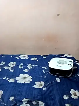 Snapshot of maftel chatting on 21, 1, 2025 maftel online show from 21, 1, 2025