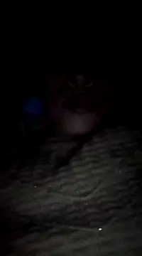 Snapshot of maftel chatting on 19, 2, 2025 maftel online show from 19, 2, 2025