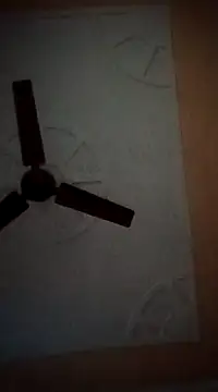 Snapshot of maftel chatting on 17, 3, 2025 maftel online show from 17, 3, 2025