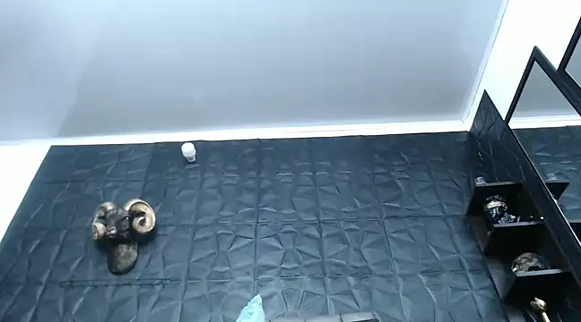 Snapshot of Hanna_Fox_69 chatting on 29, 12, 2024 Hanna Fox 69 online show from 29, 12, 2024