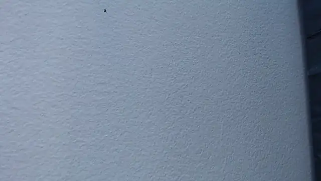 Snapshot of Hanna_Fox_69 chatting on 15, 2, 2025 Hanna Fox 69 online show from 15, 2, 2025