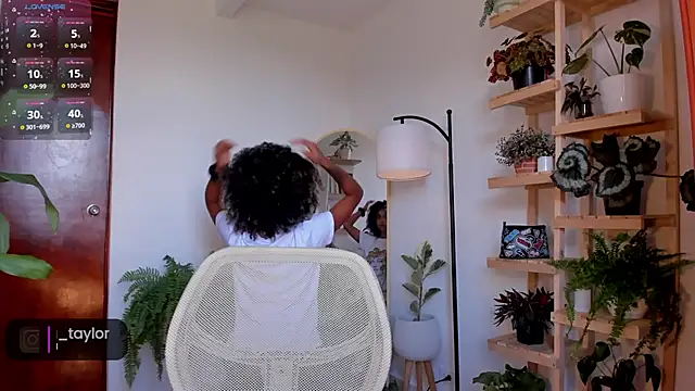 Johaphyton online show from 3, 12, 2024